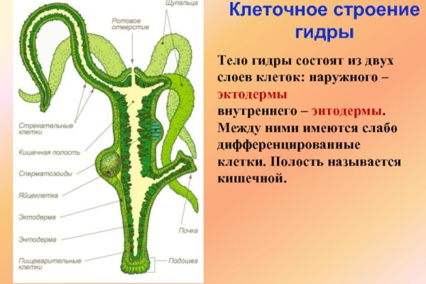 Кракен что это такое маркетплейс