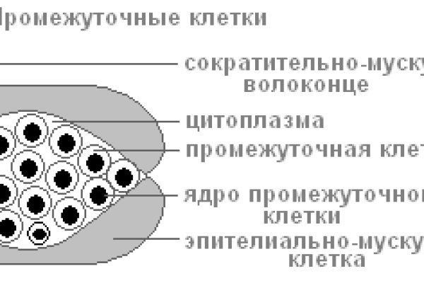 Кракен наркологический