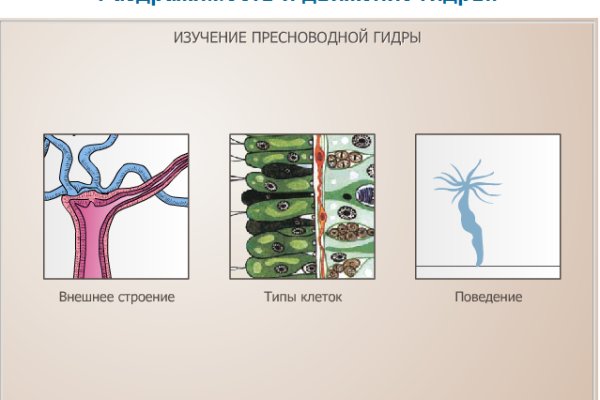 Вывести деньги с кракена